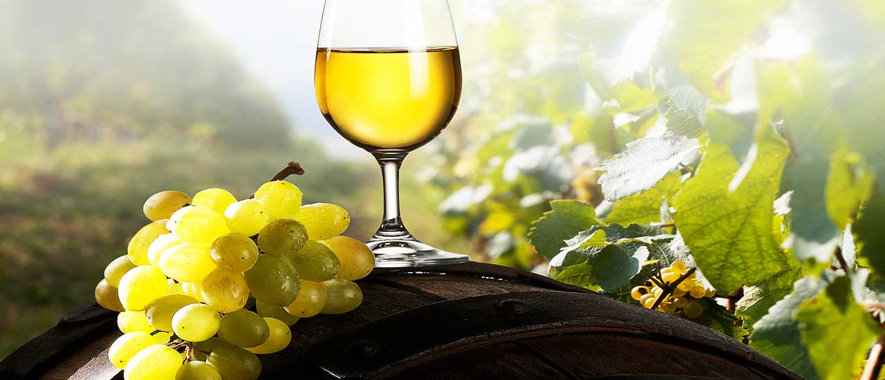 Vinohrady a vína Dalmácie